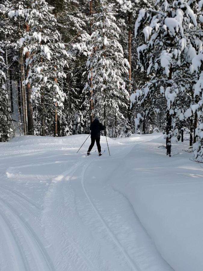 Affittacamere Nordic Character Vidsel Esterno foto