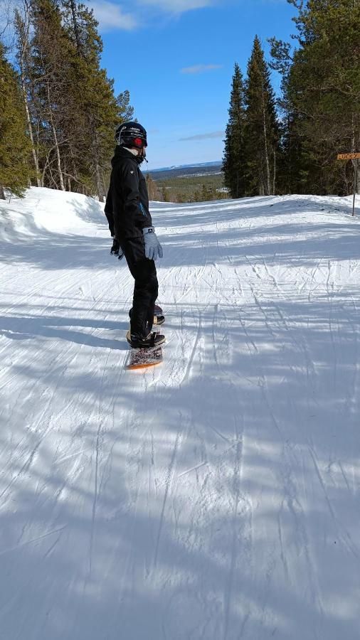 Affittacamere Nordic Character Vidsel Esterno foto
