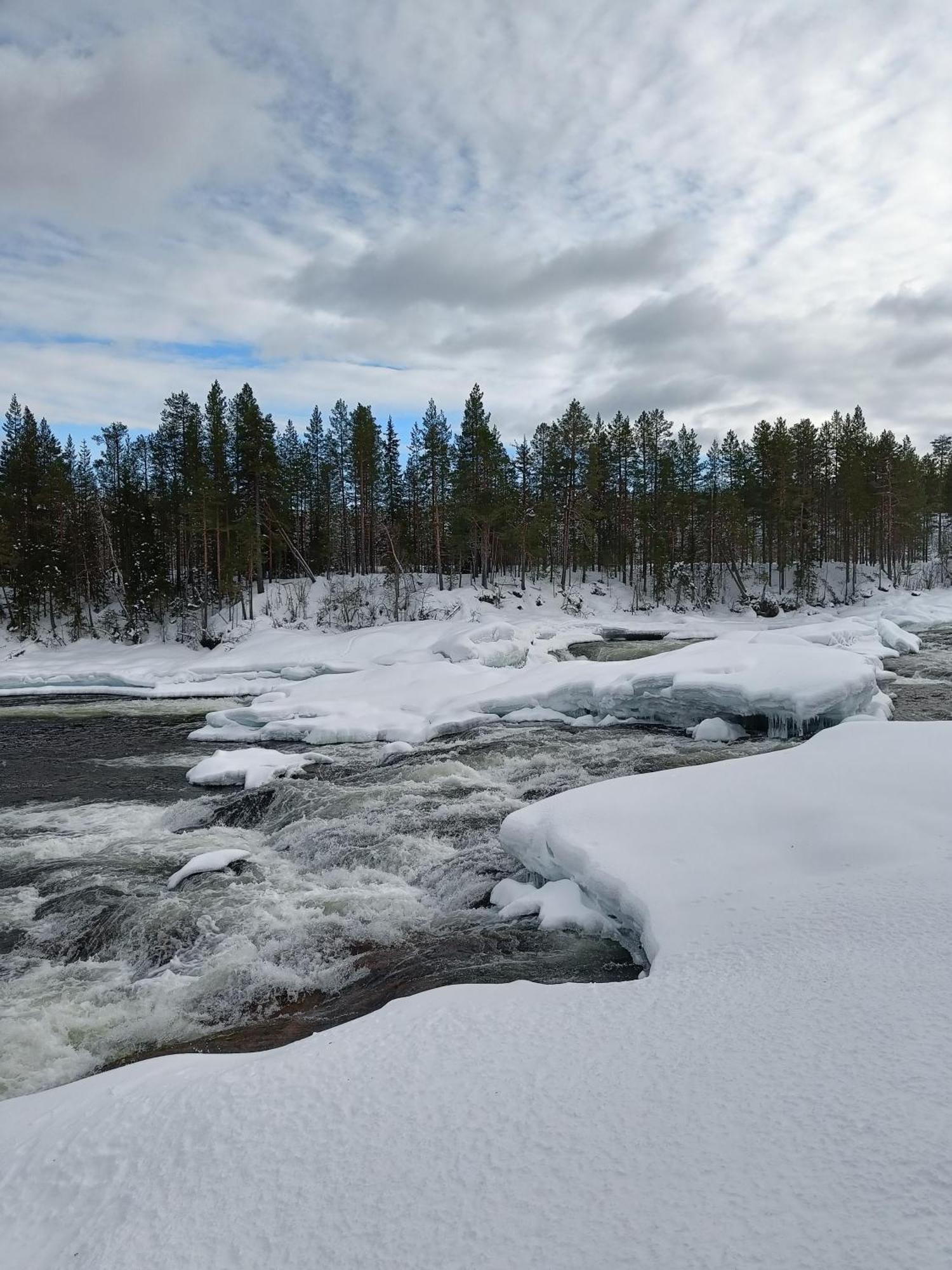 Affittacamere Nordic Character Vidsel Esterno foto