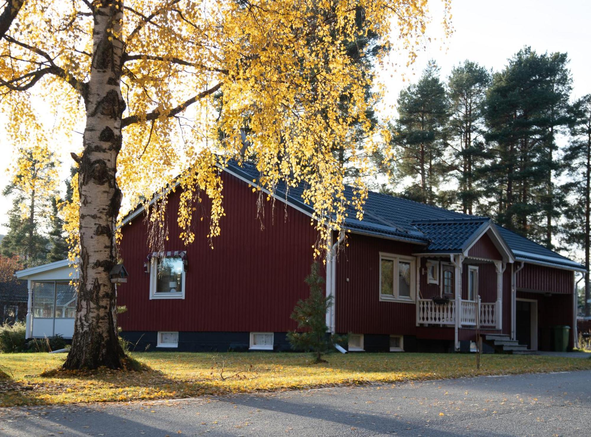 Affittacamere Nordic Character Vidsel Esterno foto